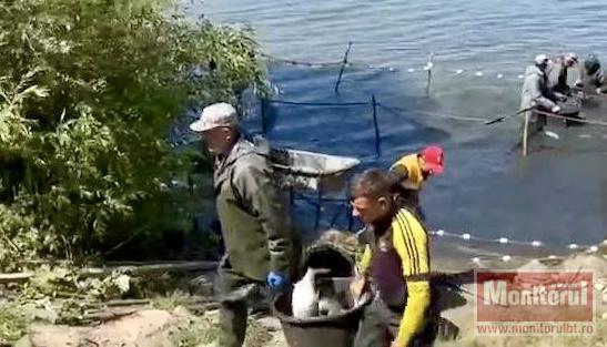 Botoșani, județul cu cei mai mari producători de pește (video)