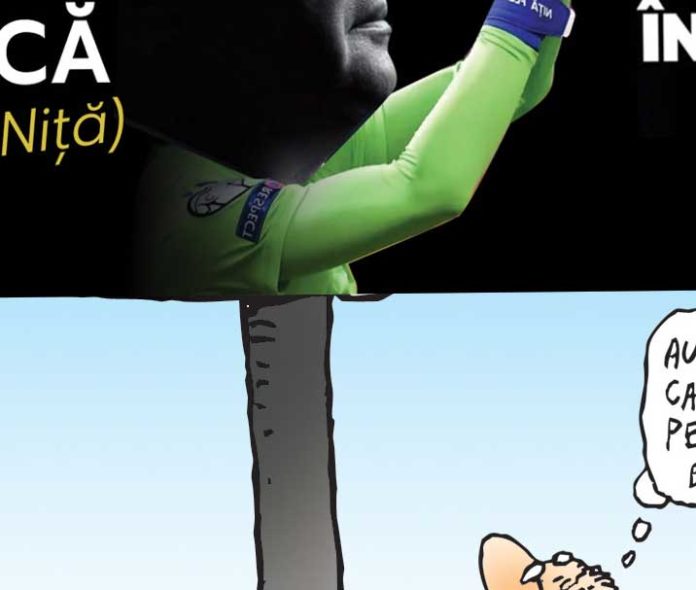 Panou-Ciuca-Nita-22