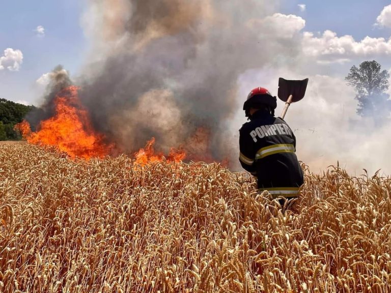 Pompierii avertizează. Cum pot fi evitate incendiile din timpul recoltării cerealelor