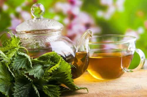 Beneficiile ceaiului de urzică