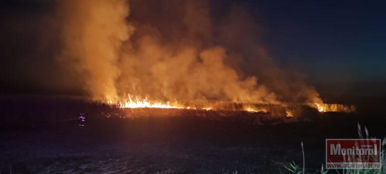 Noapte de foc. Zeci de mii de metri pătrați de vegetație distruși de incendii (video)