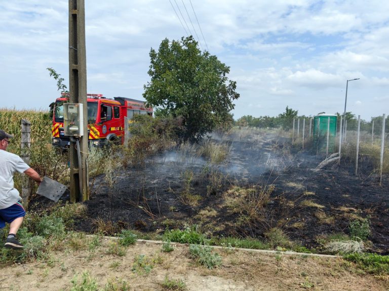 Incendiu de vegetație într-o localitate din județ