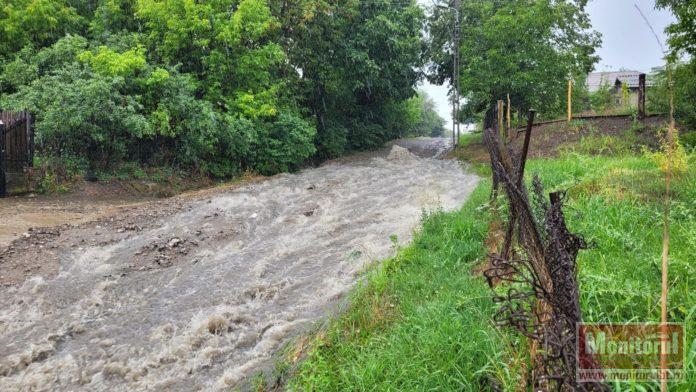 strada grigore antipa