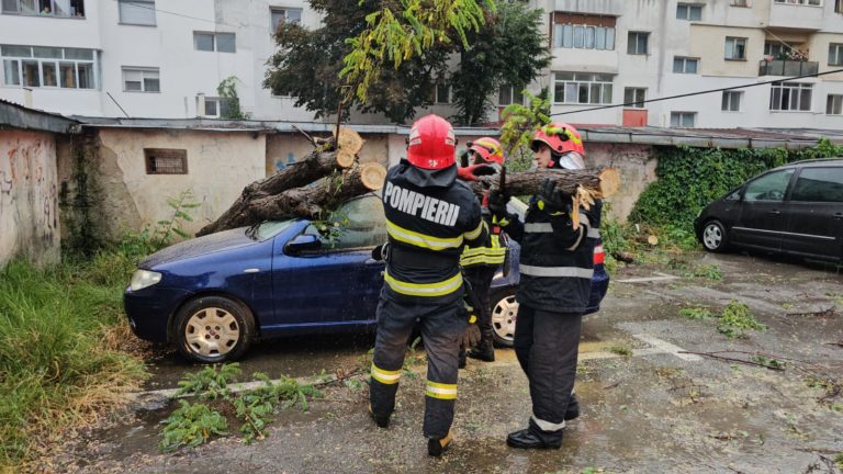 Copac prăbușit peste o mașină, în municipiul Botoșani (VIDEO)