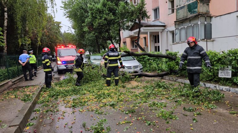 Copac doborât de vânt, pe o stradă din municipiu (VIDEO)