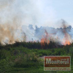 incendiu de vegetaţie