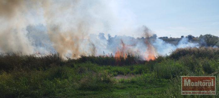 incendiu de vegetaţie