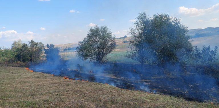 Județul sub zodia focului. Incendii de vegetație în trei localități