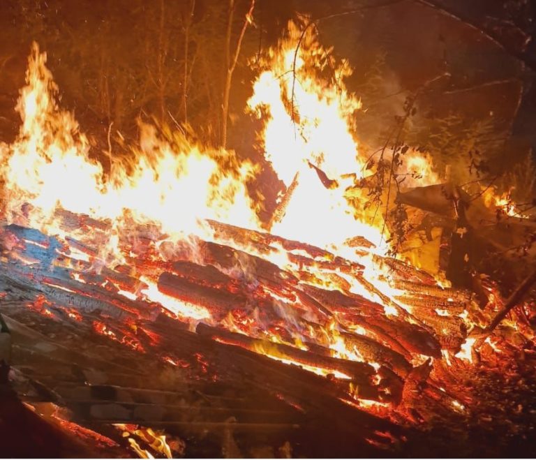 Foc pornit de la o țigară. Pompierii au salvat o casă și pădurea din Hilișeu Crișan (VIDEO)