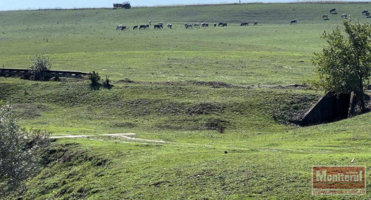 calea ferată