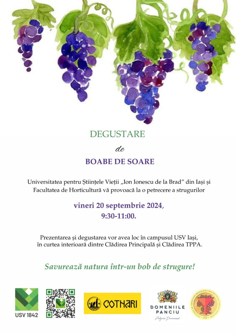 USV Iași organizează degustare de struguri, „Degustare de boabe de soare”