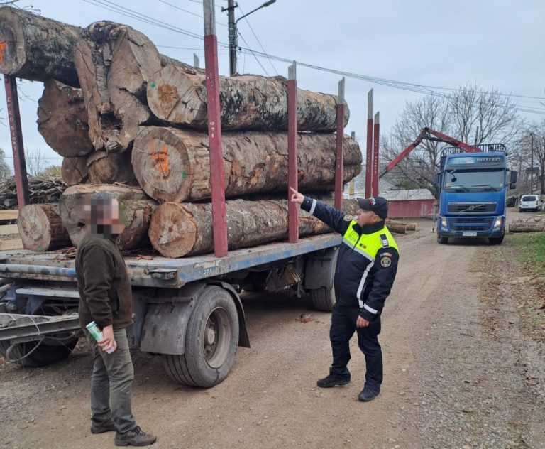 Transport de lemne fără acte, confiscat de poliție