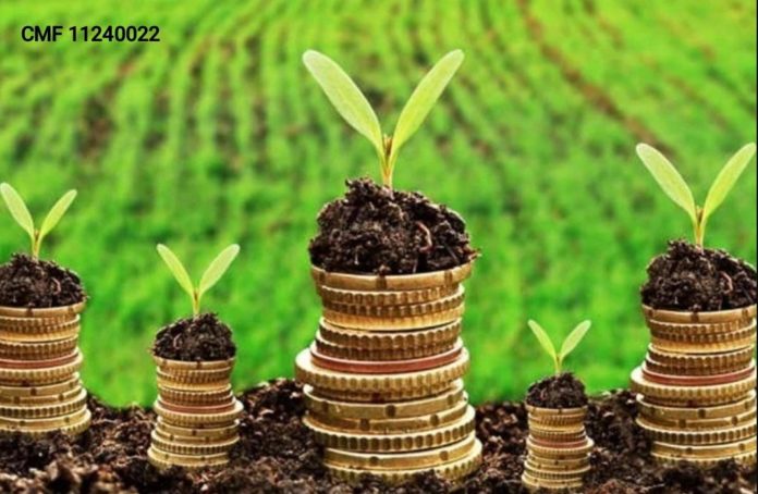 Zeci de fermieri riscă să piardă bani. Termen limită pentru semnarea cererilor de plată