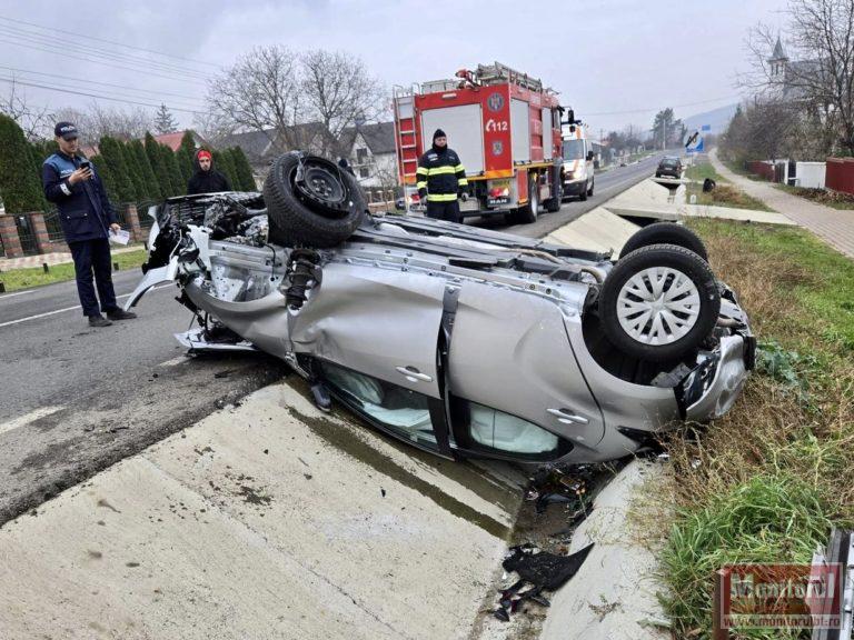 Accident cu pisica la volan (VIDEO)