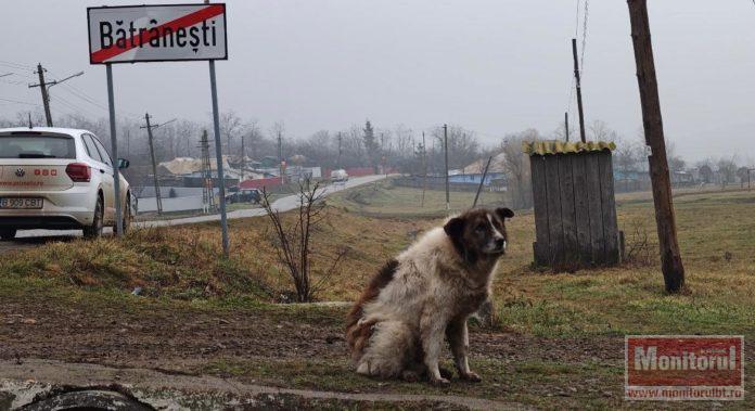 Botoșani