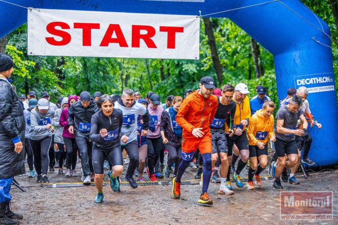 forest run movivo mihai venedict