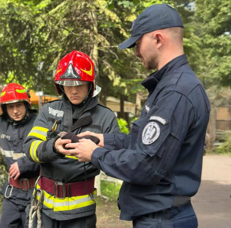 Pui de gaiță salvat de jandarmi și pompieri