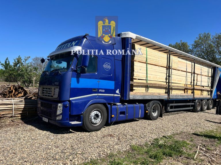 Mafia lemnului, lăsată fără marfă. Captură record în județ (VIDEO)