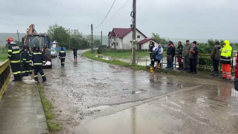 Unora le place munca. Ar sta și s-ar uita la ea ore întregi.