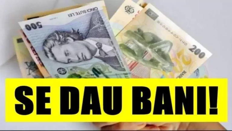 Tinerii din Botoșani pot obține finanțare pentru proiectele lor. Care sunt regulile