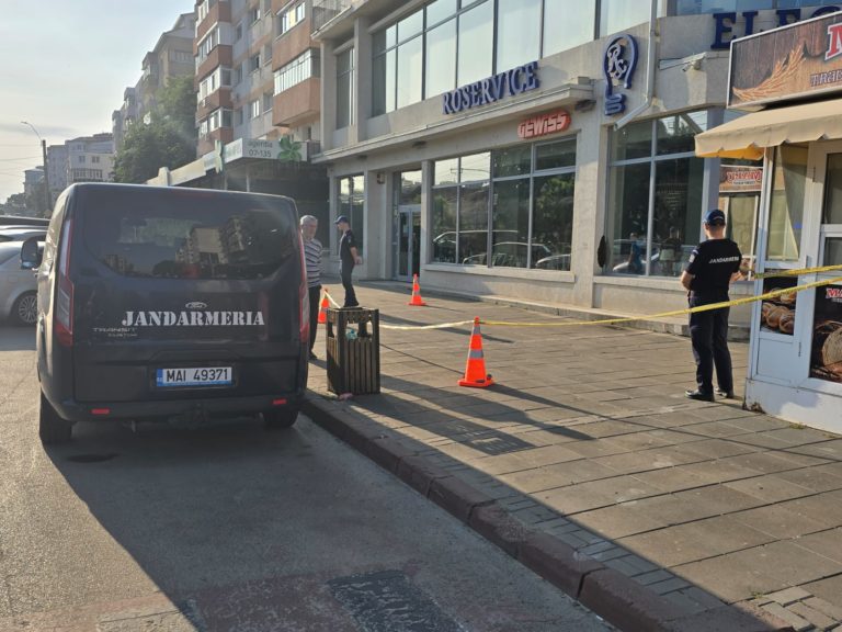 Jandarm cu har deosebit. A doua intervenție a plutonierului Parasca pentru capturarea unui roi de albine (VIDEO)