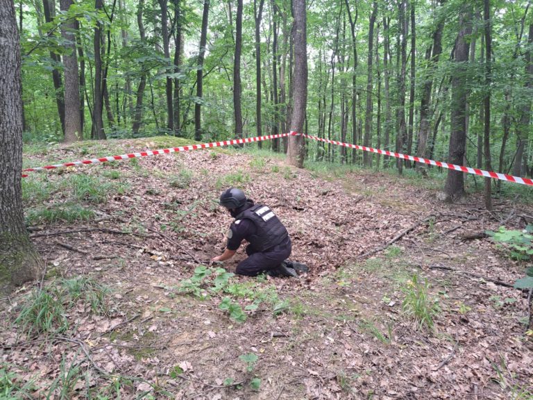 Descoperire periculoasă în pădurea Băiceni: Proiectil găsit cu detectorul de metale