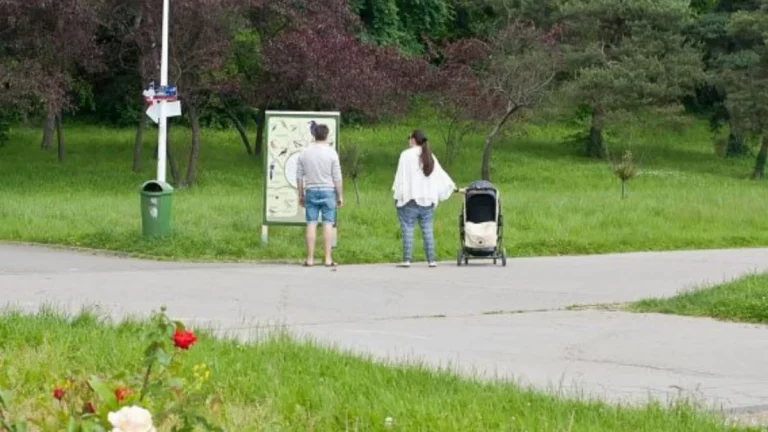 Haos în parcurile dendrologice ale județului. Autoritățile nu știu câte sunt, unde se află și în ce stare se găsesc