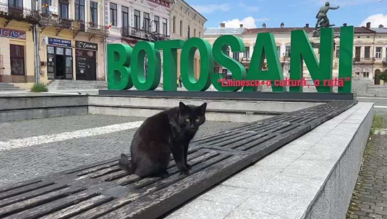Pisica nu are vreo vină. În Centrul Vechi o cam păţeşti oricum, chiar dacă eşti sau nu superstiţios.