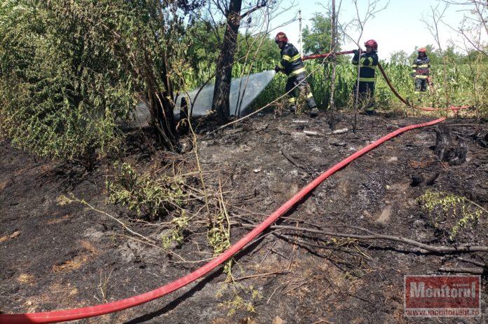 La un pas de dezastru din cauza unui incendiu de vegetație