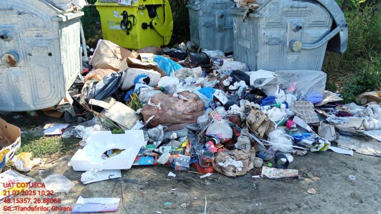 Amenzi de 270.000 lei pentru necolectarea deșeurilor conform normelor de mediu