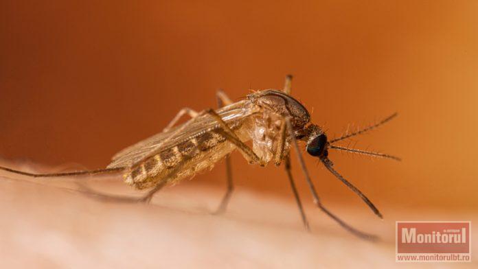 Caz de West Nile confirmat în județ