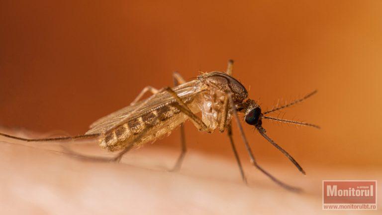 Caz de West Nile confirmat în județ