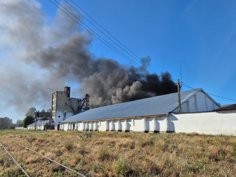 Incendiu la un depozit de cereale din Dorohoi. Intervenție de urgență a pompierilor (VIDEO)