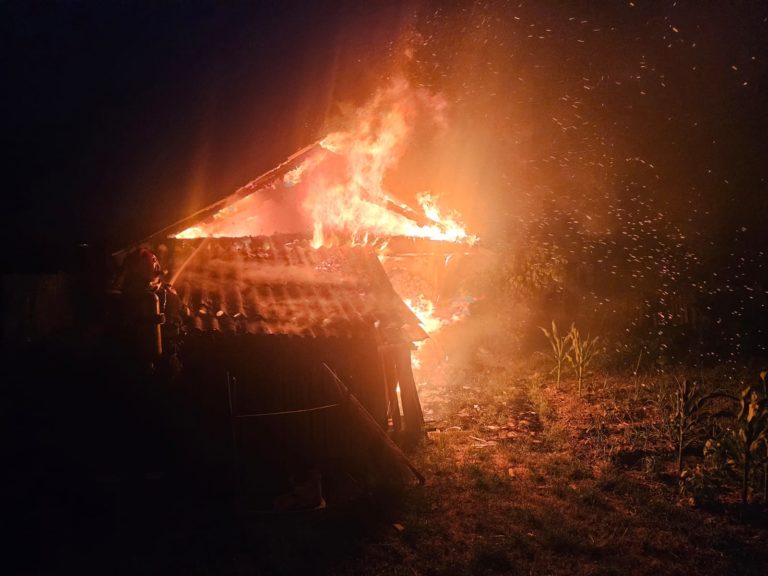 Flăcări într-o comună din județ! Pompierii au intervenit de urgență