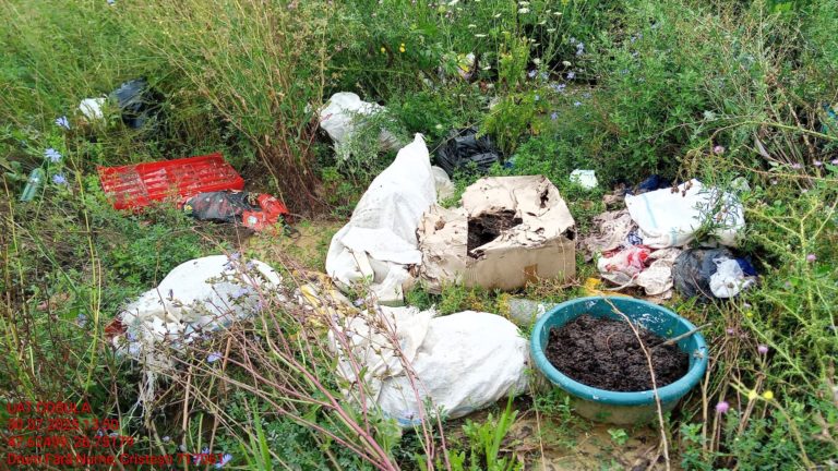 Amenzi de peste 600.000 de lei pentru gunoaie lăsate în voia sorții