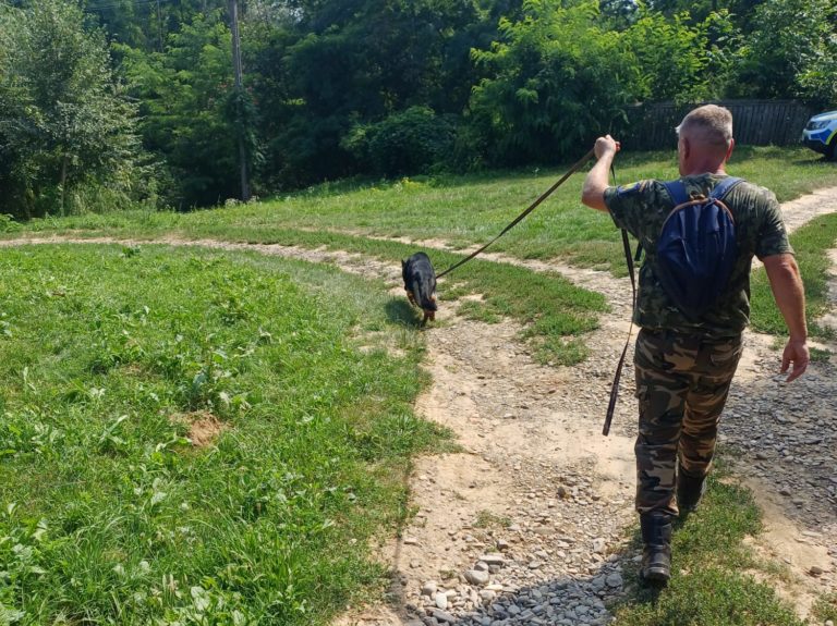 Misiune de salvare cu final fericit. Octogenar rătăcit găsit cu ajutorul unui câine, la 7 kilometri de casă