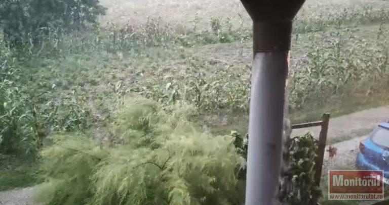 Încă o ploaie de vară zdravănă la Botoşani.