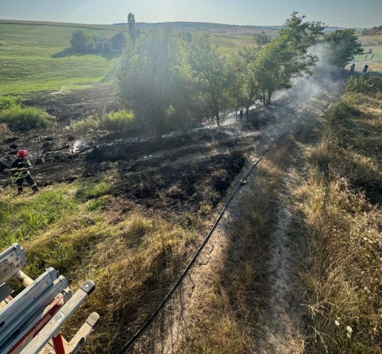 Două incendii de vegetație uscată la Stroești. Pompierii au salvat gospodăriile din calea flăcărilor