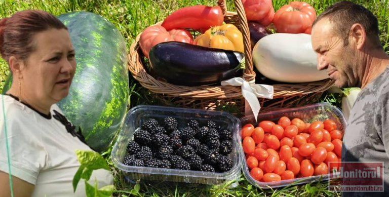 Legume bio produse cu bondari şi insecte (VIDEO)
