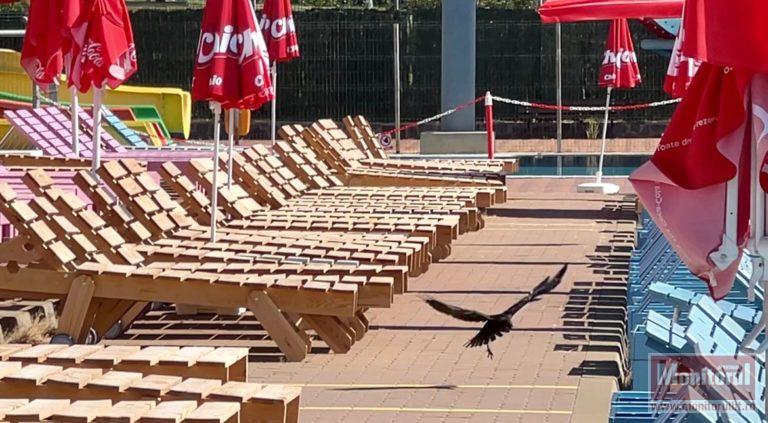Consilier local şocat de ce a găsit la Cornişa AquaPark: „Miros de urină la saune şi în bazin // La picine bate vântul” (VIDEO)