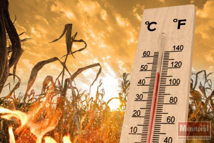 Temperaturile Urcă Vertiginos la Început de Septembrie