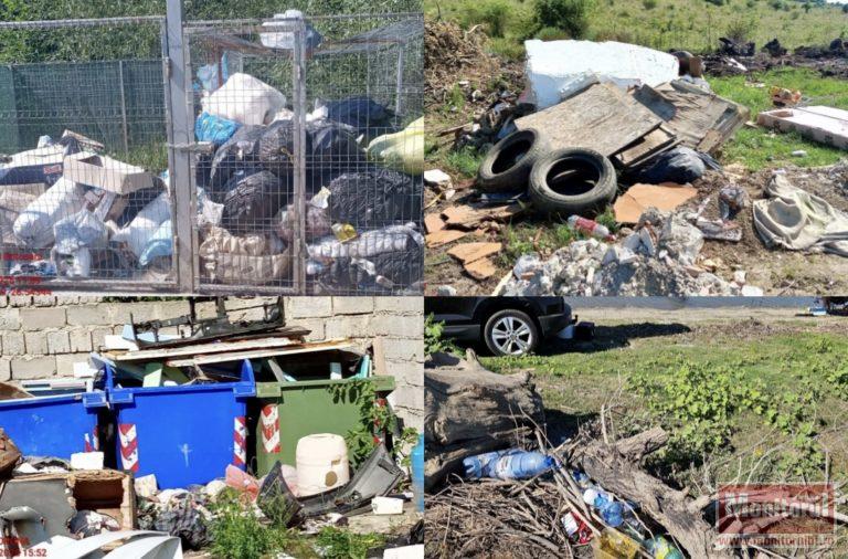 Controale în forță ale Gărzii de Mediu la Botoșani: amenzi de peste 1,4 milioane de lei într-o singură lună