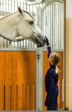 Activitate constantă și interes crescut din partea comunității, la Baza hipică a USV Iași 10 - News Moldova Activitate constantă și interes crescut din partea comunității, la Baza hipică a USV Iași - News Moldova