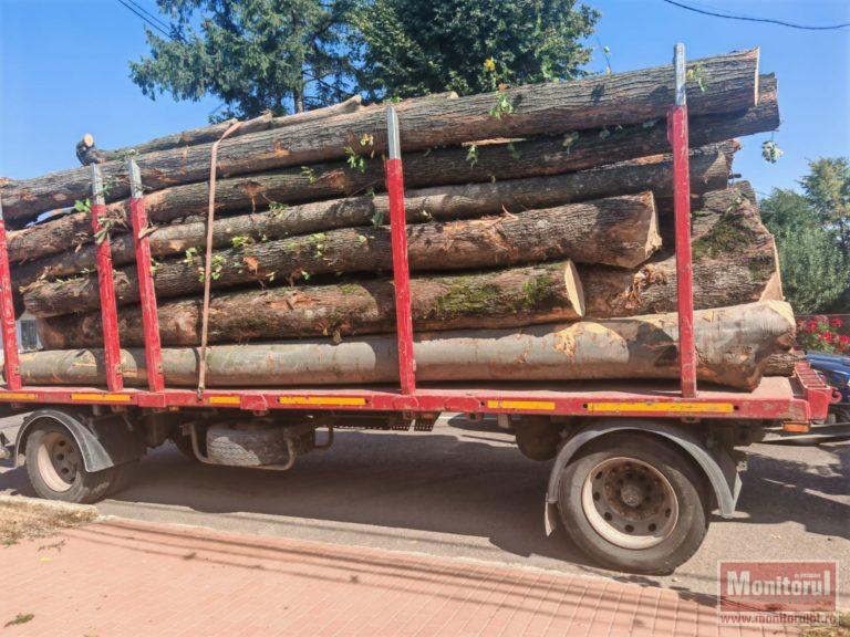Prins la furat de lemne cu acte false! Polițiștii i-au confiscat camionul
