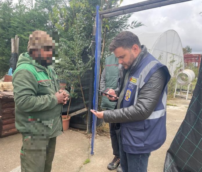 Polițiștii de imigrări