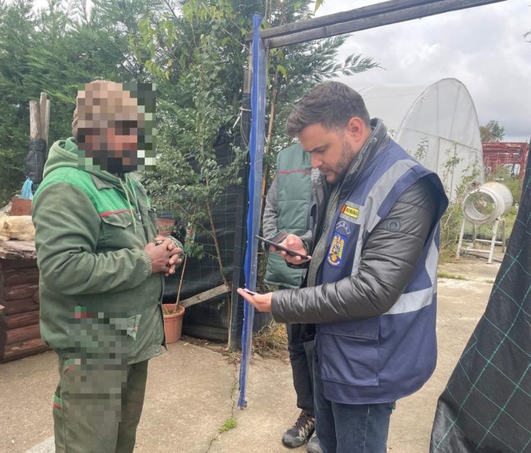 Polițiștii de imigrări