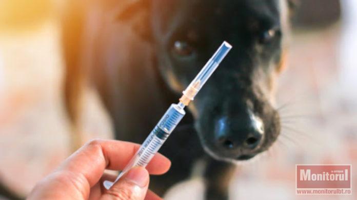 vaccin antirabic