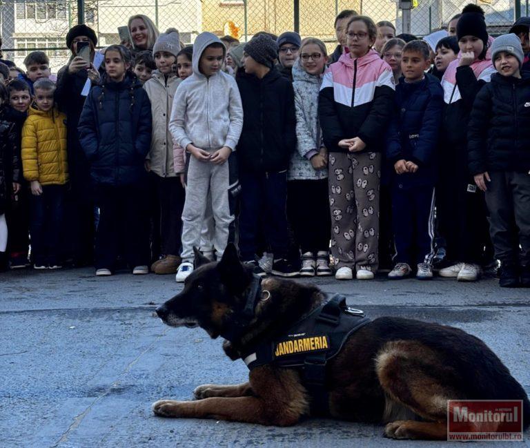 Școala Gimnazială Ștefan cel Mare