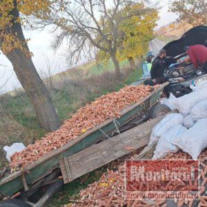 Căruță spulberată de o mașină în județ. Ambulanțele au intervenit imediat