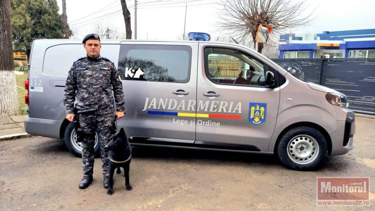 Cățelușa Ciha, „agentul” cu patru lăbuțe care păzește școlile din Botoșani (VIDEO)